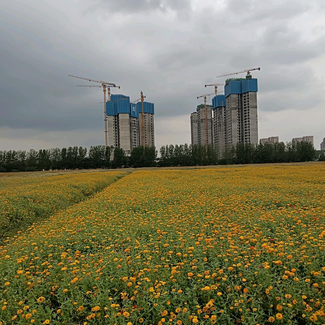 用户3638321337370爱心果果