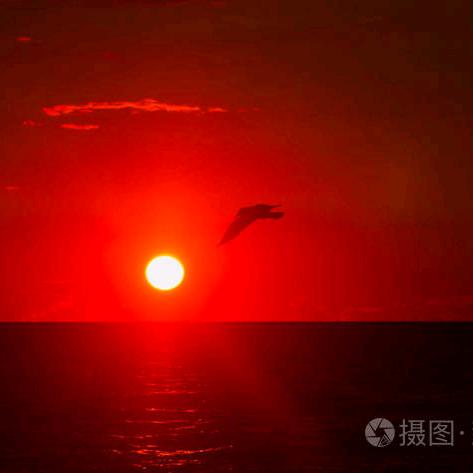 泰山《为善如登》