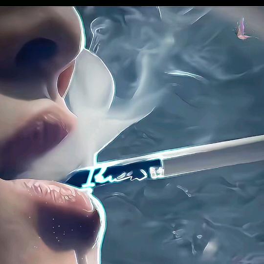 四季安然