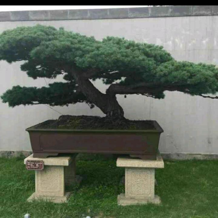 一生有你.
