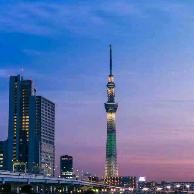 💘一（剑）钟情💘