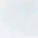 太美一太美了了木子兔