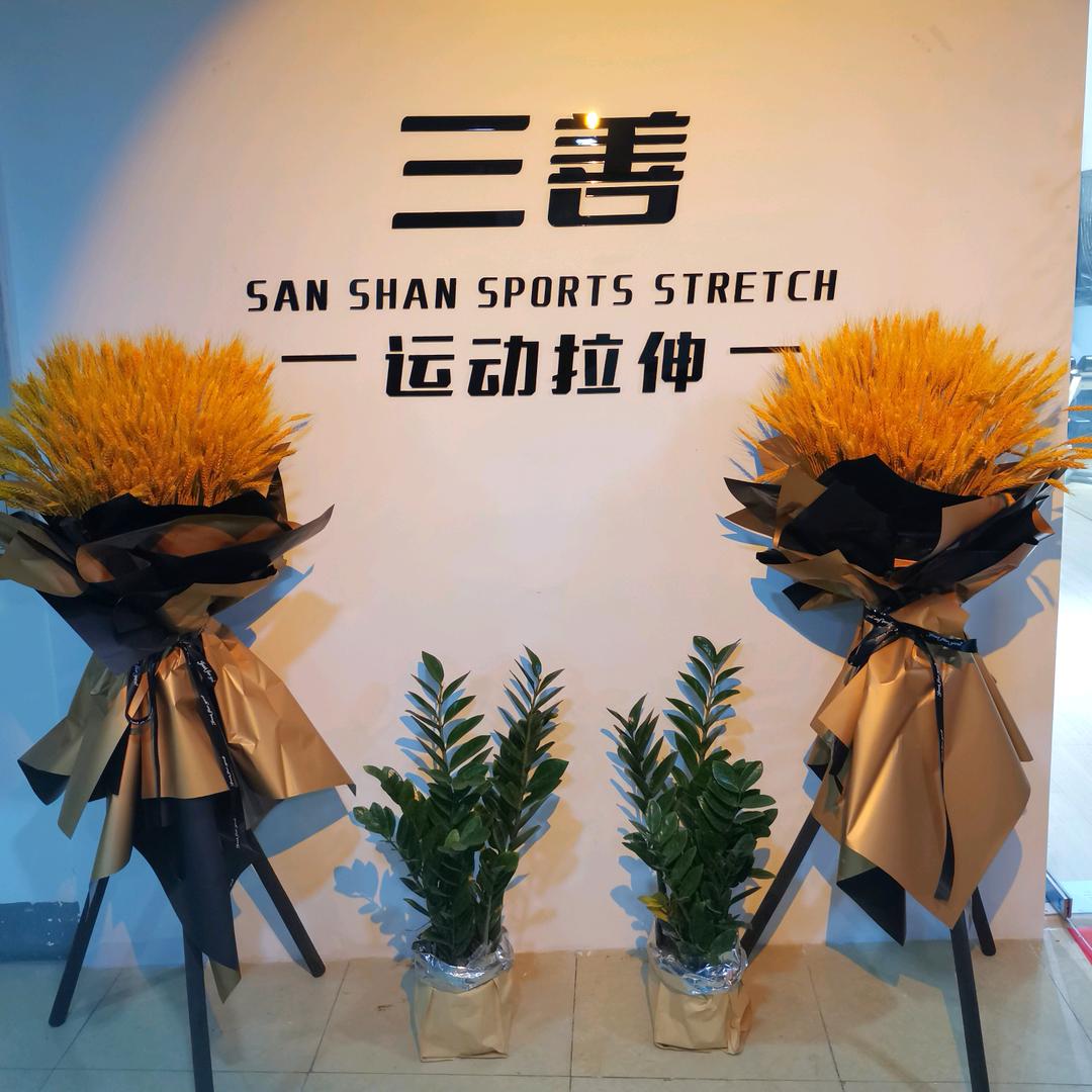 三善运动拉伸（侯丹康体）