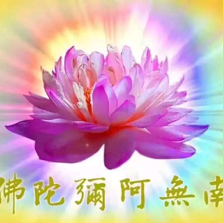 菩提花
