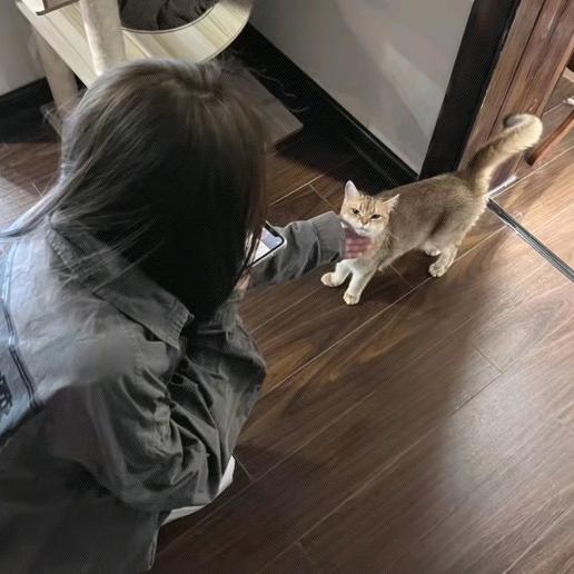 cute
