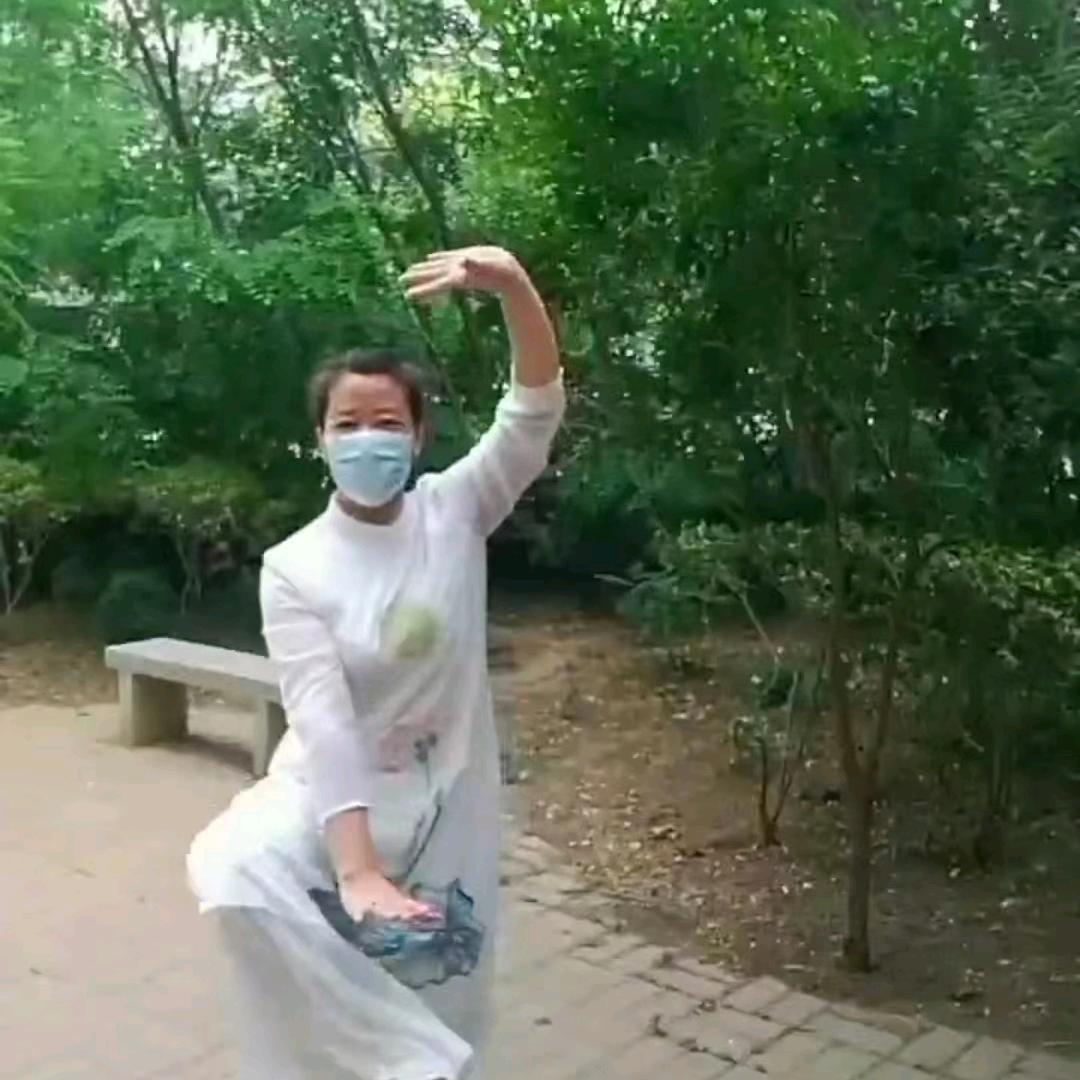 茶密健身
