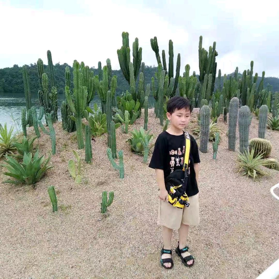 诸天神剑