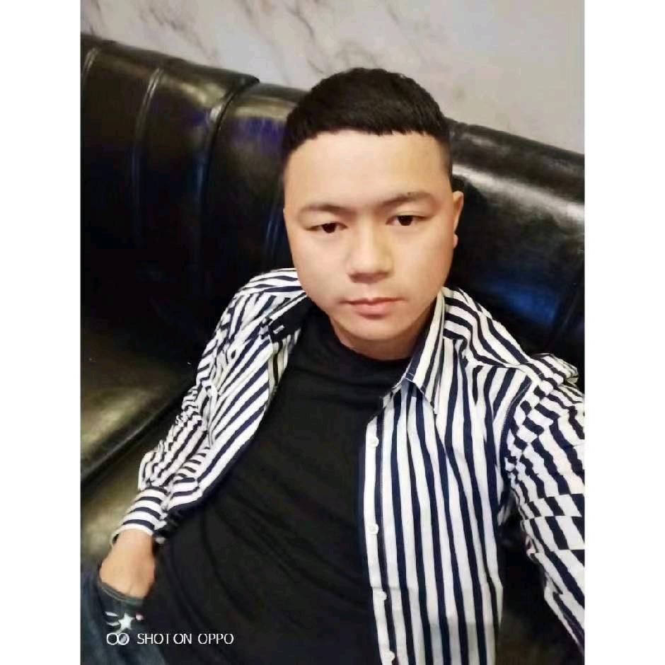 @豆绿的人参