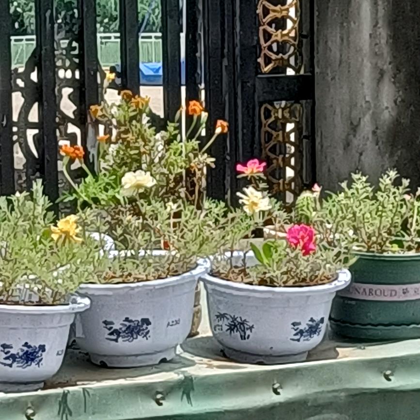 茹轩
