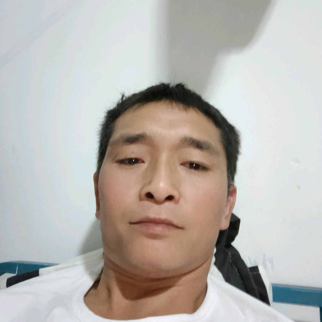 张维鸿