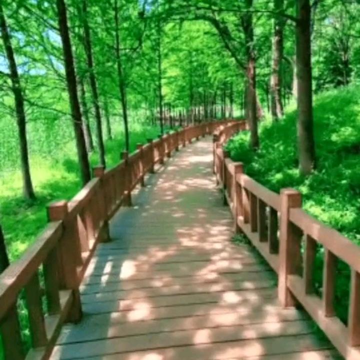 平安*