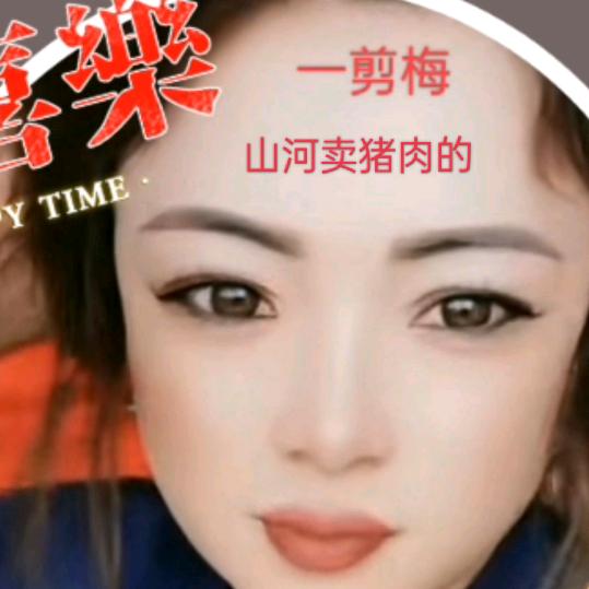 山河一剪梅，卖猪肉的