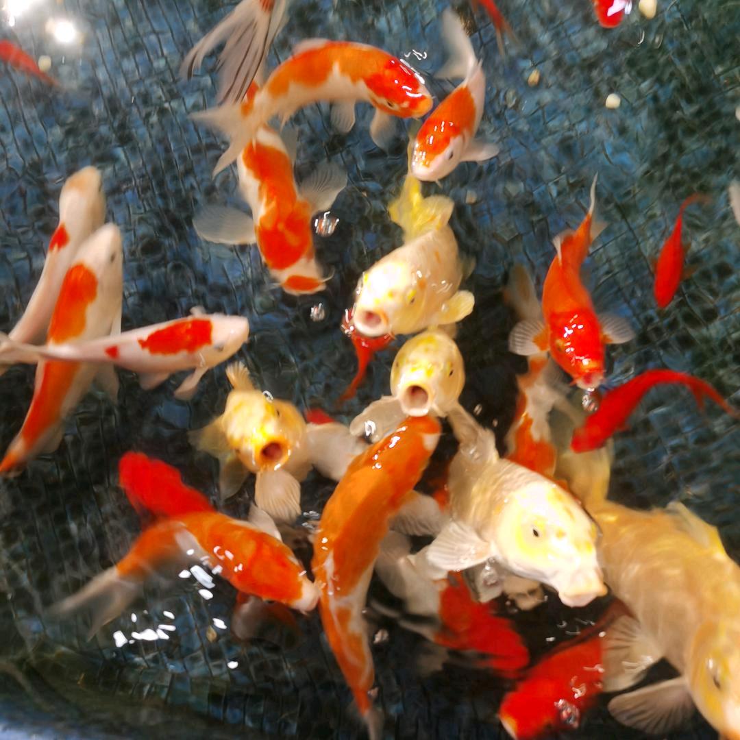 为高兴而高兴