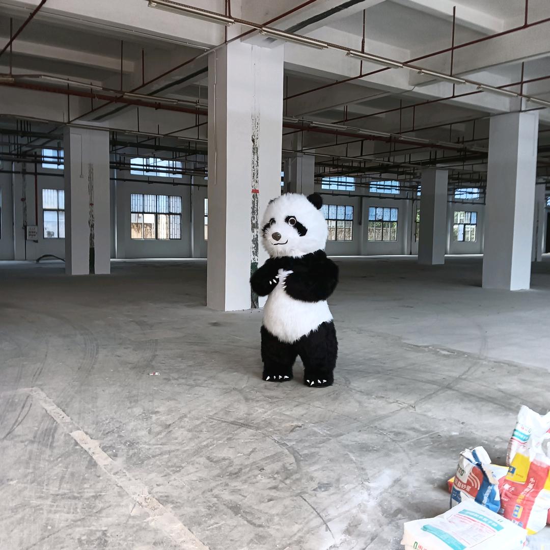 永远帅气的哥哥