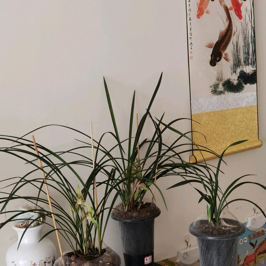 一山一水一风景