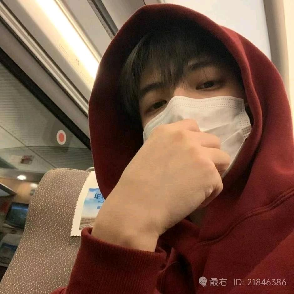芝士小狗