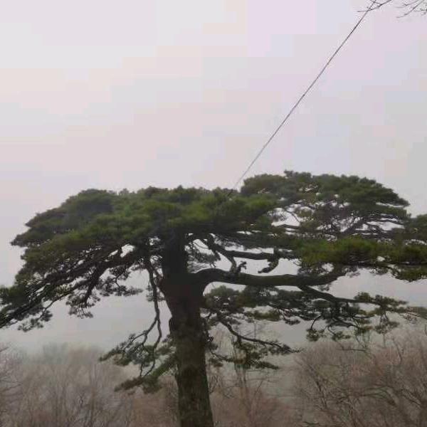 义乌市卓建智能科技有限公司