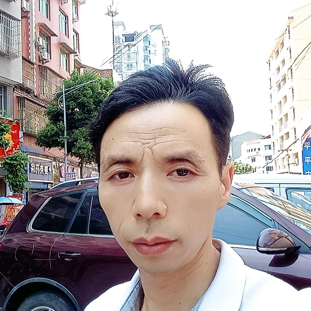 大树下无草