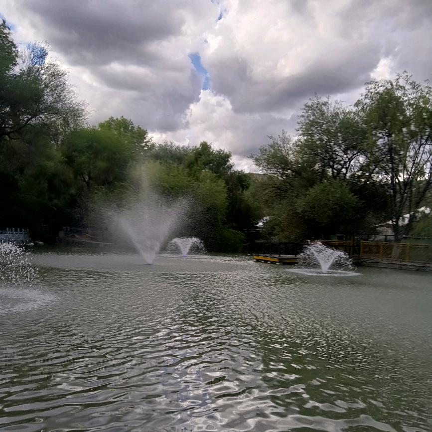 爱唠叨的老太太