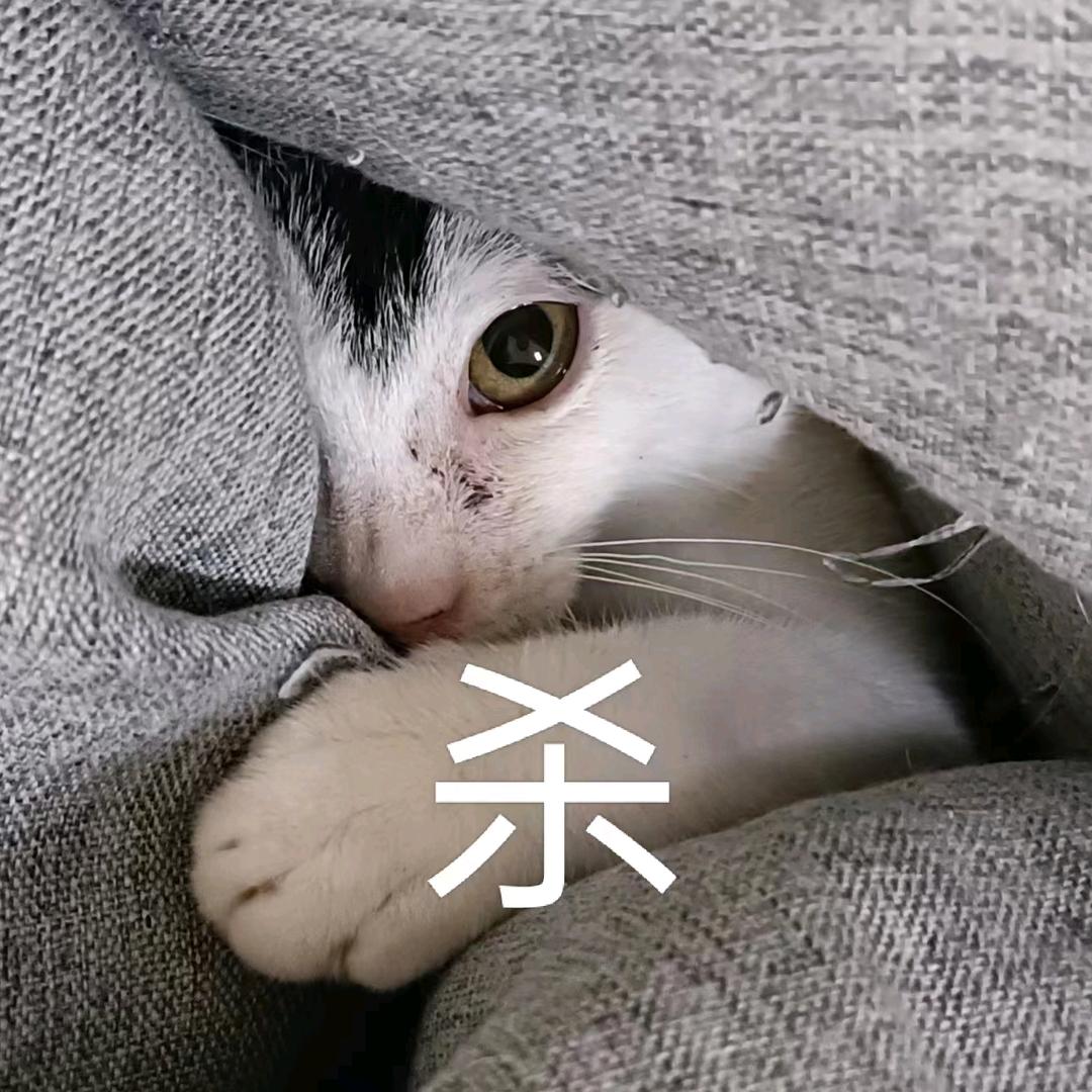 猫舞伎町
