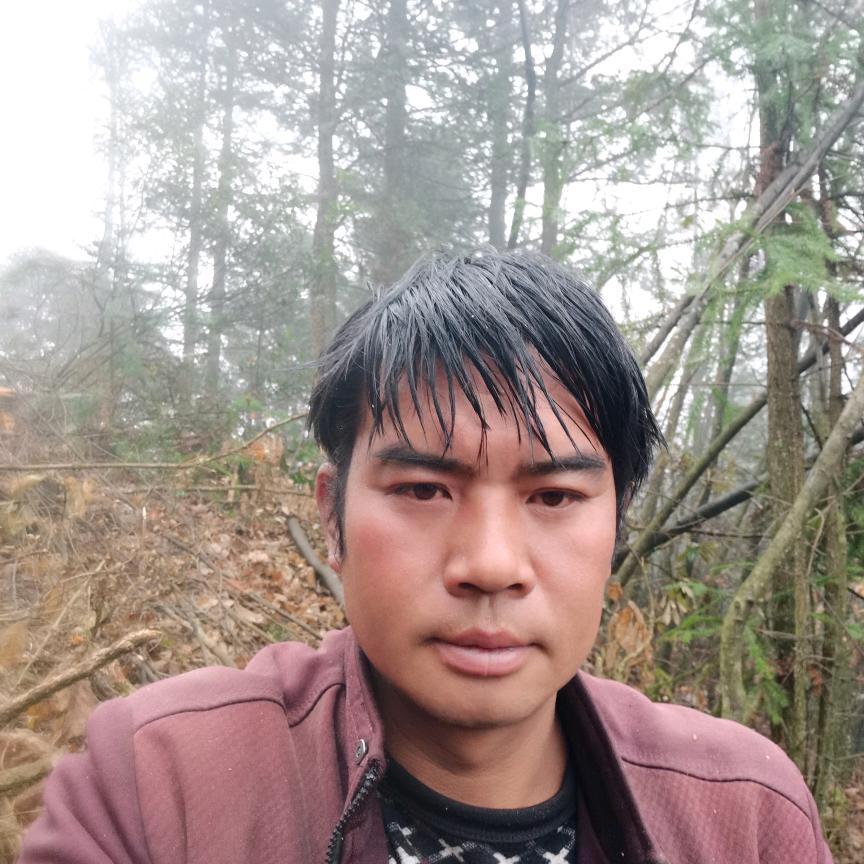 回归自然鸿运