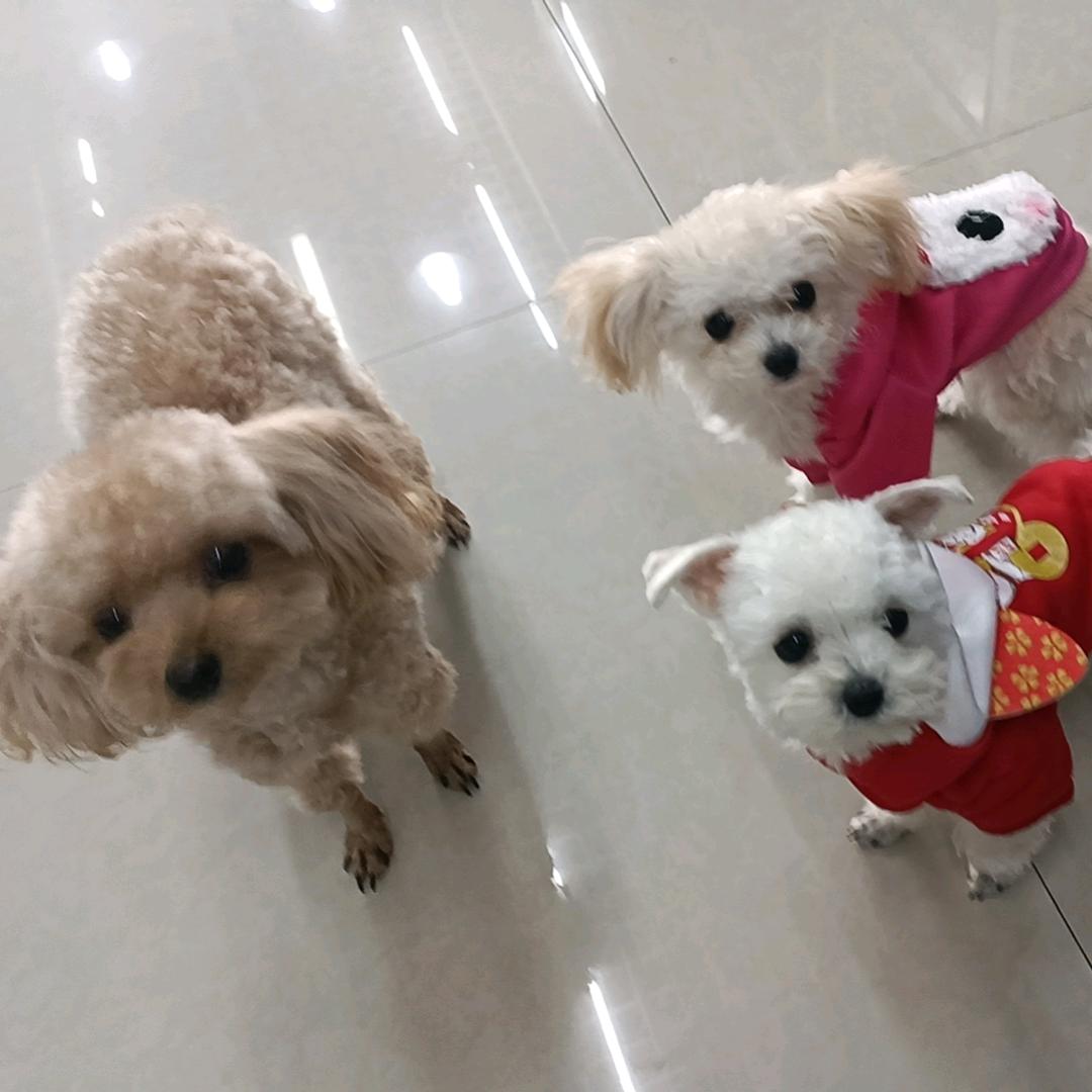 乐意利