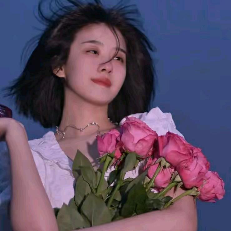 美女的事你别管