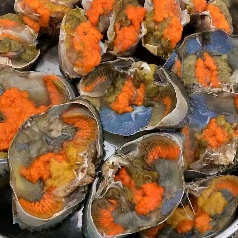 卖膏蟹的启强