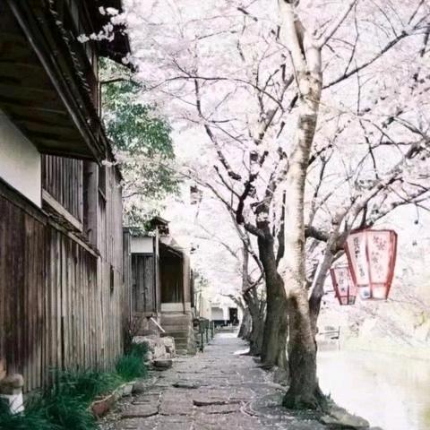 丁宇峰