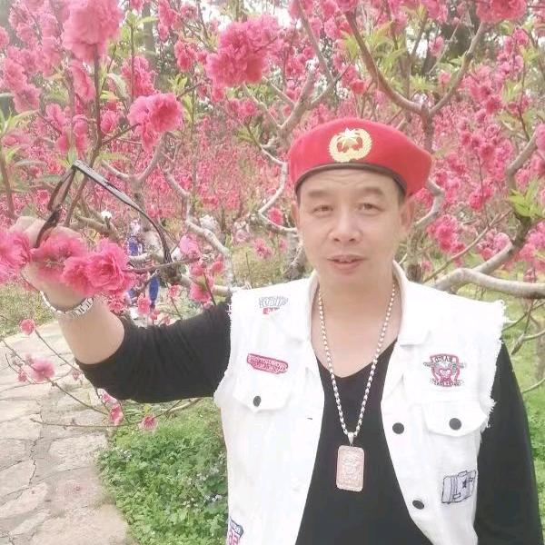 李哥带货（停播学习中）