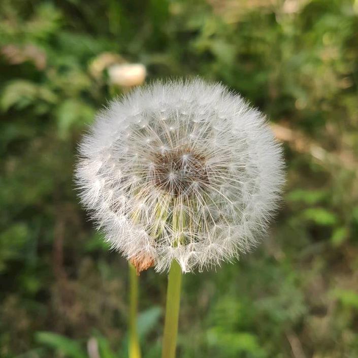 天天开心小月亮