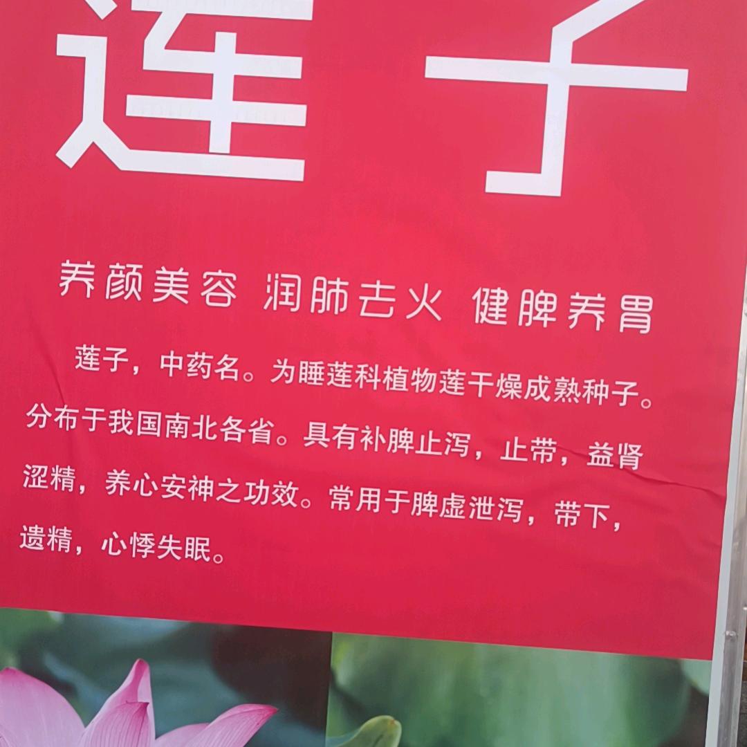 战胜自我👯
