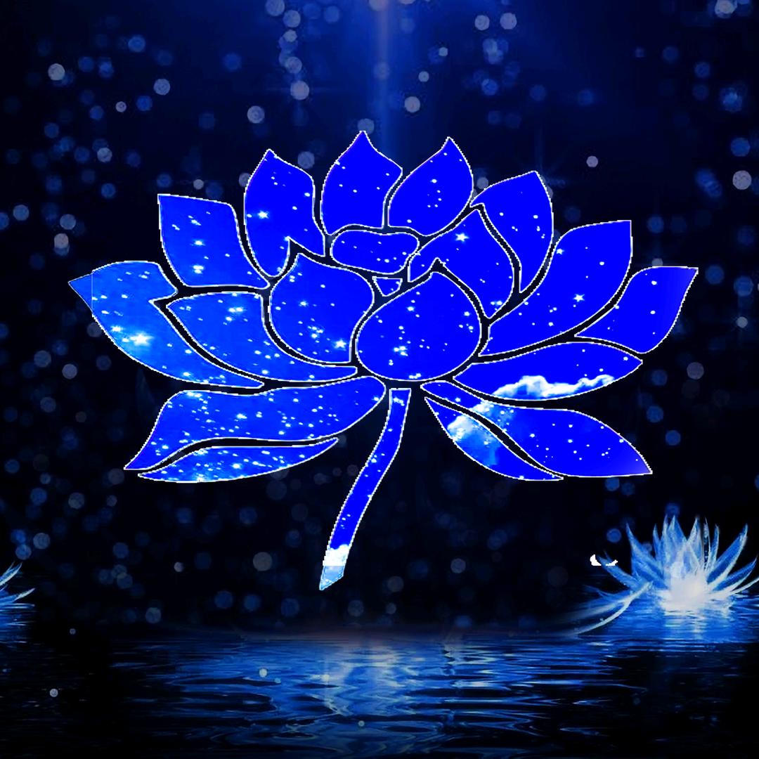 DIMON大萌的音乐时光