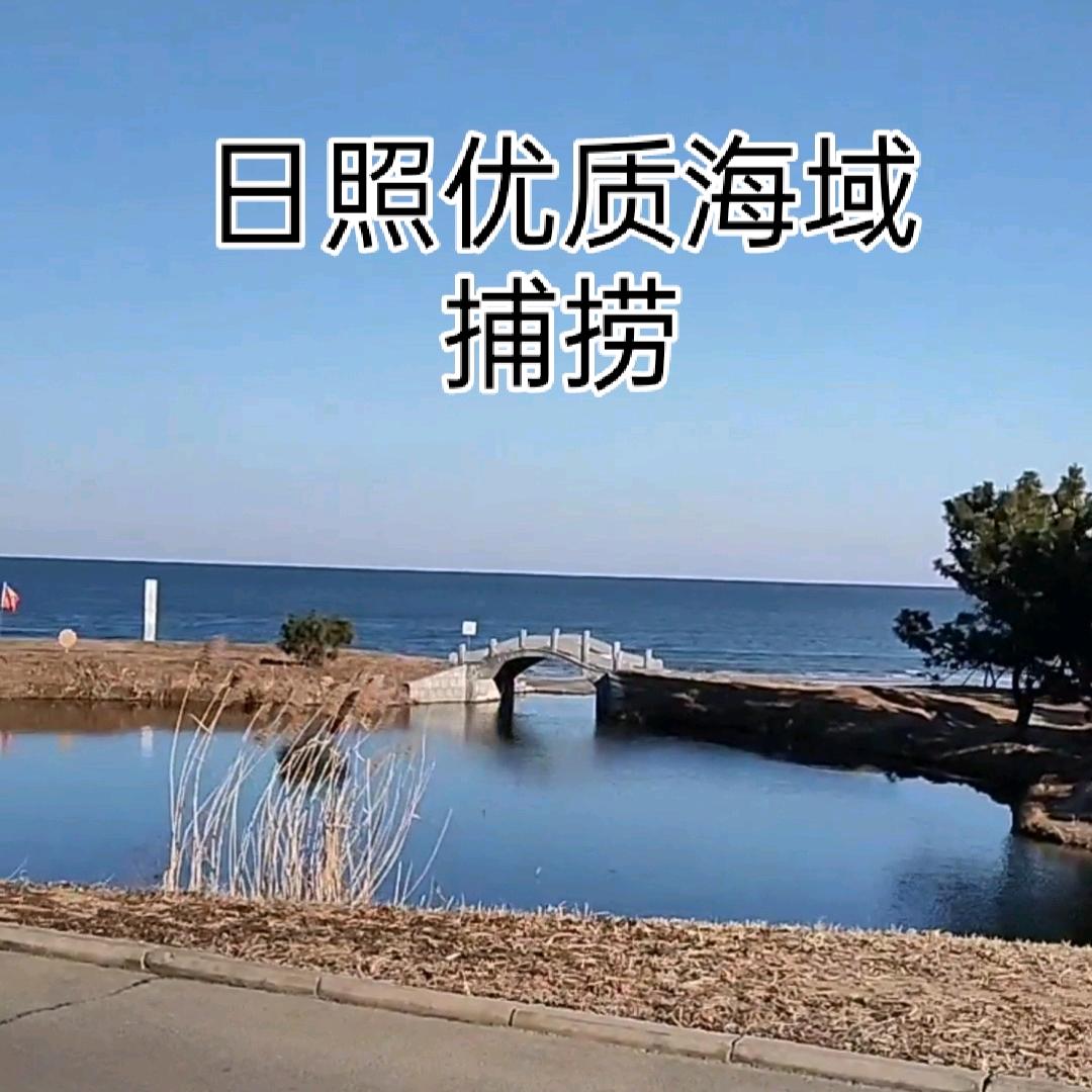 任家海鲜
