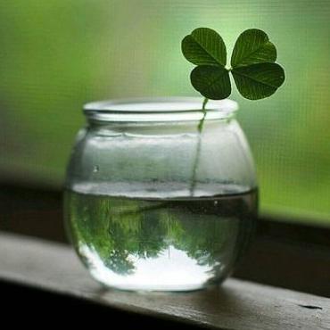 美艺家布艺软装生活馆