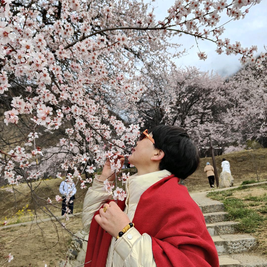 熊熊奶奶