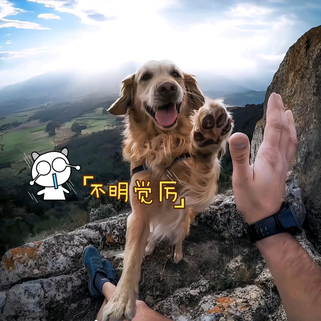 身处黄昏