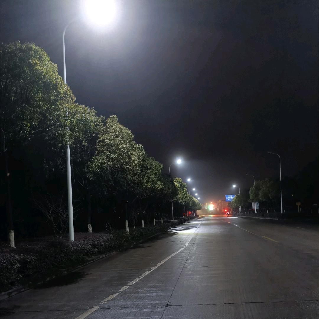 我非鲜花为何芳香