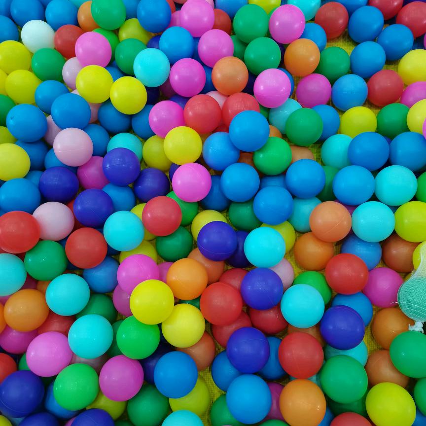 飞鸟与鱼！！！