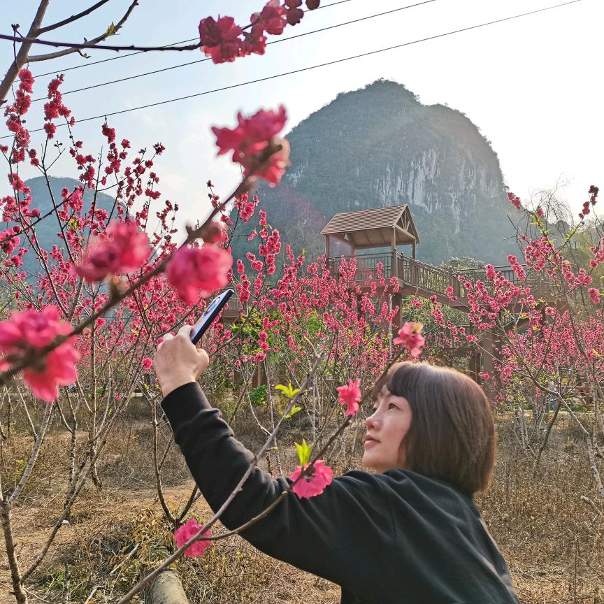 广西李春花