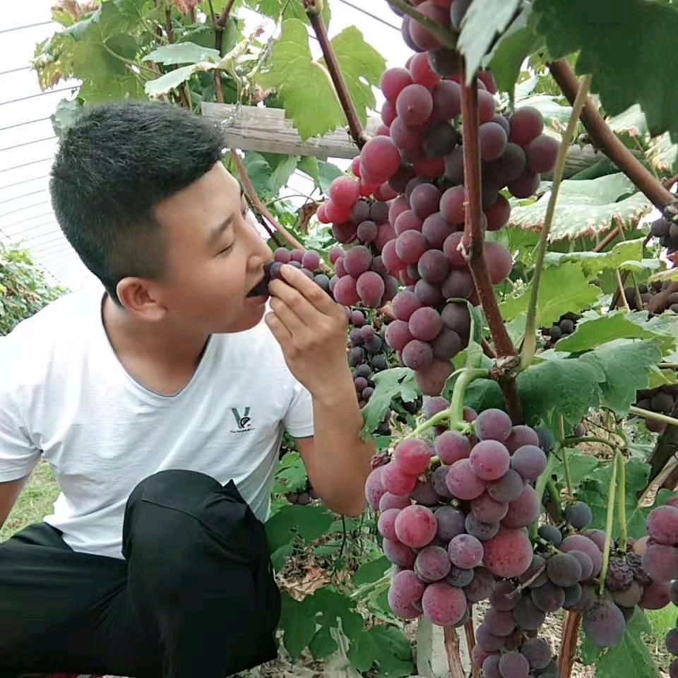 小黄的日常记录