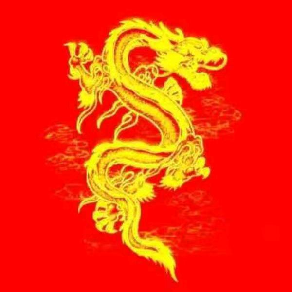 🇨🇳 浙A . 金龙