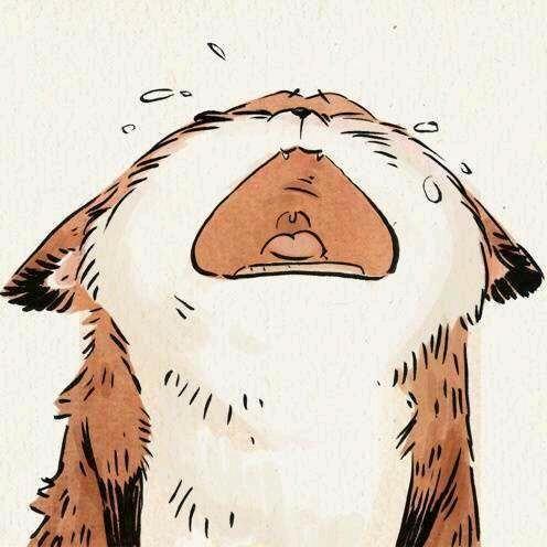 鱼鱼妤🐟推文(举报限流版）