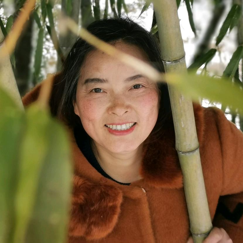 沈大姐