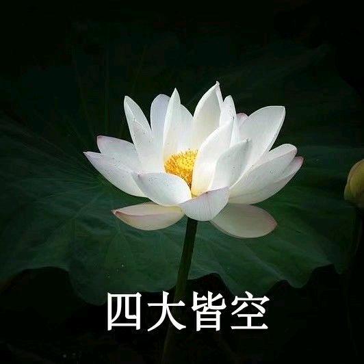 阿梅