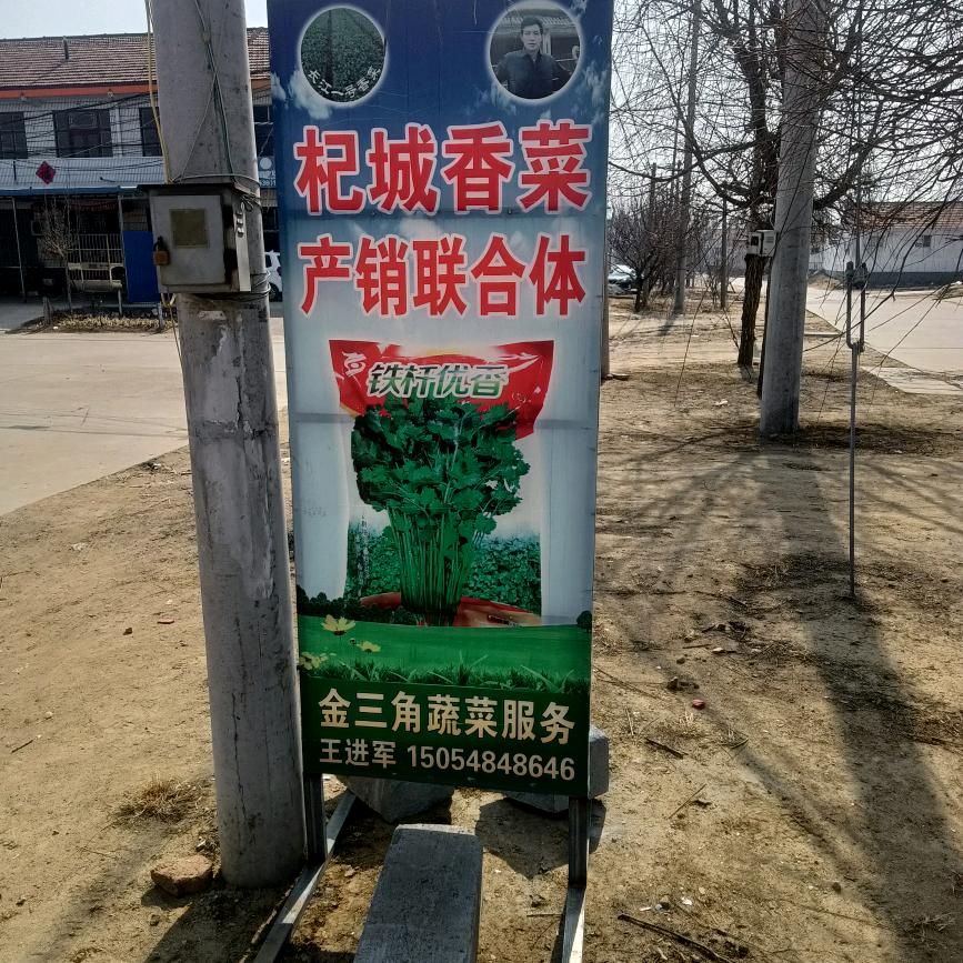 杞城！金三角蔬菜！铁杆优香
