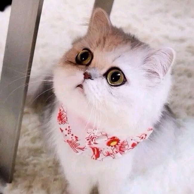 後來