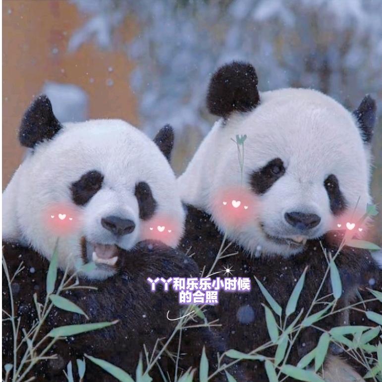 放羊🐑的星星⭐⭐
