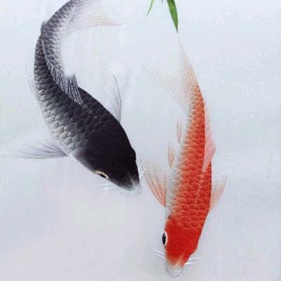 晨钟暮鼓1头像