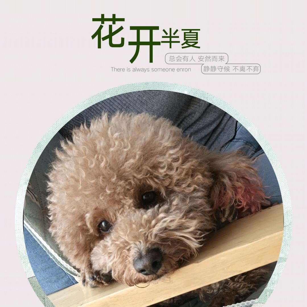 废人
